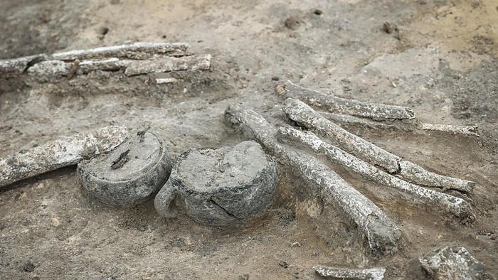 Potret 12 Makam Berusia 4.000 Tahun Ditemukan di Jerman 19 May 2025, Saxony-Anhalt, Bahrendorf: A skeleton of an approximately 35-year-old man from the transition from the Neolithic to the Bronze Age with a vessel as grave goods. A 4000-year-old burial ground was found on the construction site for the future SuedOstLink power line. The Saxony-Anhalt State Office for the Preservation of Monuments and Archaeology is carrying out archaeological excavations along the route. Photo: Heiko Rebsch/dpa (Photo by Heiko Rebsch/picture alliance via Getty Images)