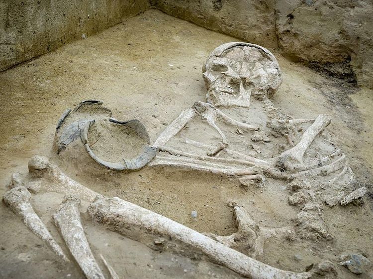 Potret 12 Makam Berusia 4.000 Tahun Ditemukan di Jerman