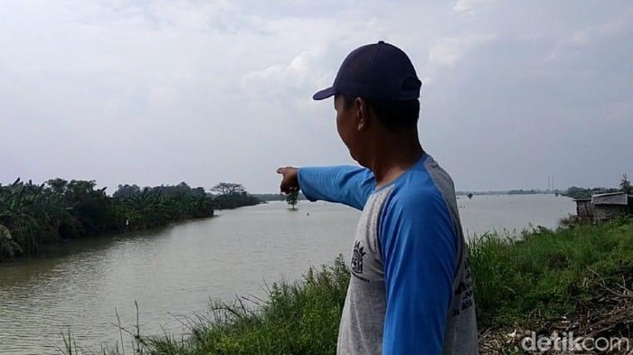 Salah satu warga menunjukkan lokasi sawahnya yang terendam banjir luapan Begawan Solo.