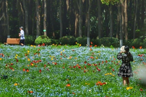 Taman kota di dunia yang buka 24 jam