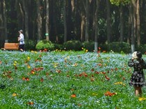 Taman-taman Kota di Negara Lain yang Buka 24 Jam