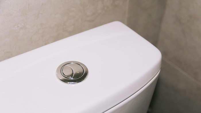 tombol flush pada toilet duduk