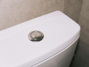 Banyak yang Belum Tahu, Ini Fungsi 2 Tombol Flush di Kloset Duduk