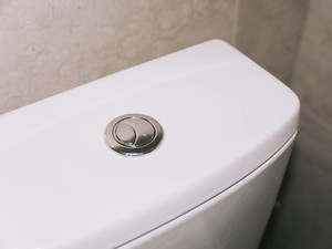 Banyak yang Belum Tahu, Ini Fungsi 2 Tombol Flush di Kloset Duduk