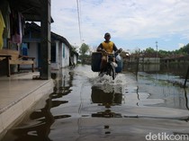Pilu Warga Tunggulsari Pati Sepekan Terdampak Rob: Sudah 3 Hari Air Masuk Rumah