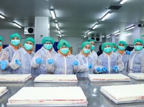 Kunjungi Pabrik The Harvest, DWP MPR Gali Ilmu & Cari Peluang Usaha