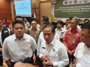 Menteri LH Ungkap Data Pengurangan Hutan di Aceh, Sumbar, dan Sumut
