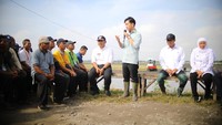 Kementerian Pertanian menegaskan komitmennya untuk terus meningkatkan produksi padi nasional secara berkelanjutan. Dengan fondasi yang kuat dan semangat gotong royong, Indonesia optimis melangkah menuju kedaulatan pangan.