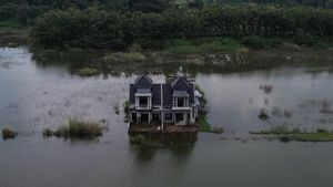 Potret Rumah Mewah Terbengkalai di Tengah Rawa Seluas 4 Lapangan Bola