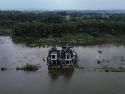 Potret Rumah Mewah Terbengkalai di Tengah Rawa Seluas 4 Lapangan Bola