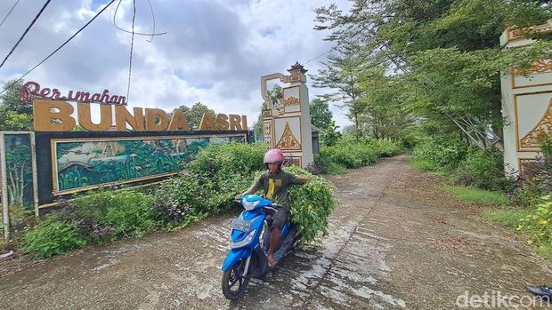 Penampakan rumah terbengkalai di Dusun Karangasem, Desa Karangdagangan, Bandar Kedungmulyo, Jombang yang viral di media sosial