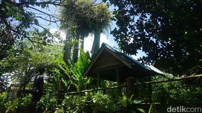 Situs Kuburan Kuno Aya di Bulungan yang tertutup tanaman.
