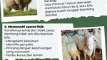 Syarat Kambing untuk Kurban