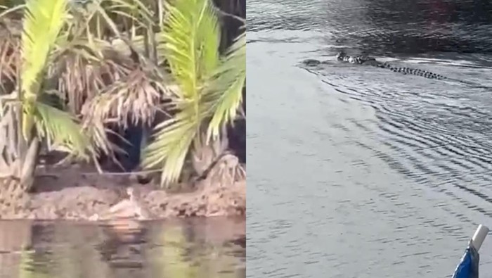 Tangkap layar video remaja diterkam buaya di Jambi.