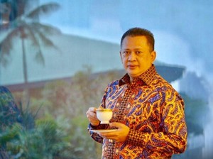 Potensi Energi Terbarukan Menuju Target Kemandirian