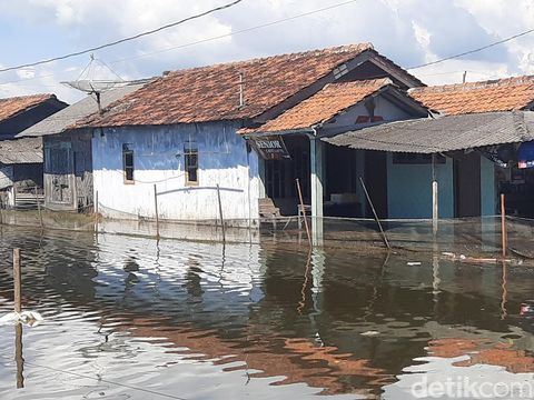 Banjir rob di Desa Tunggulsari, Kecamatan Tayu, Pati, Minggu (25/5/2025).