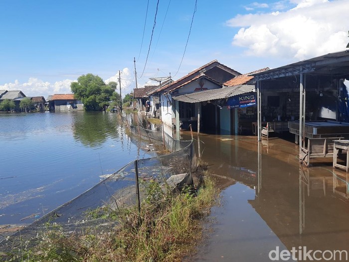 Banjir rob di Desa Tunggulsari, Kecamatan Tayu, Pati, Minggu (25/5/2025).