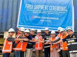 Kelapa Sedang Naik Daun, UMKM Ini Tembus Ekspor Perdana ke China