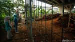 Jelang Idul Adha, Kolong Tol Becakayu Jadi Tempat Jualan Hewan Kurban