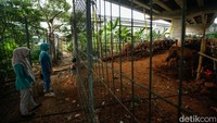 Menariknya, para pembeli tidak hanya datang dari kawasan sekitar, tetapi juga dari berbagai wilayah Jabodetabek.