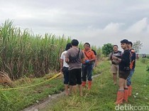 Misteri Tewasnya Santi di Kebun Tebu Usai Dijemput Teman Pria