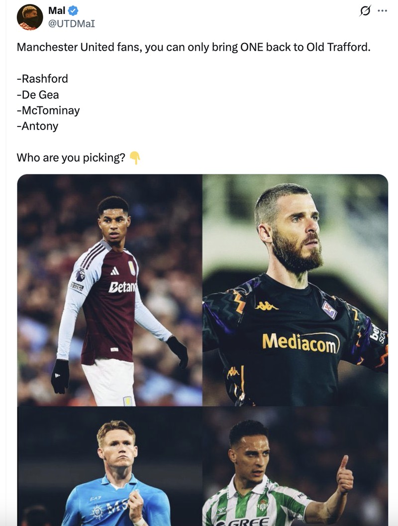 Meme McTominay