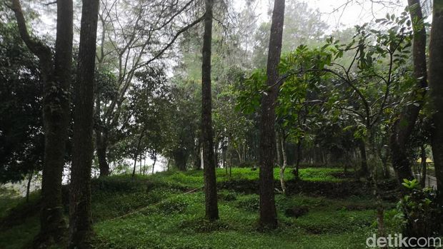 Objek wisata Bumi Perkemahan Palutungan Kuningan