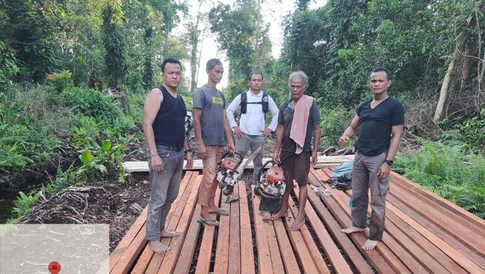 Polisi membongkar pembalakan liar di Hutan Senepis Dumai, Provinsi Riau, pada Sabtu (24/5/2025). Dua pelaku ditangkap.