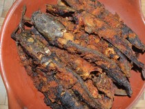 Resep Ikan Lele Bakar Bumbu Padang, Pedas Gurihnya Bikin Nagih