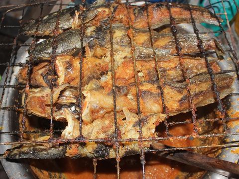 Resep Lele Bakar Bumbu Padang