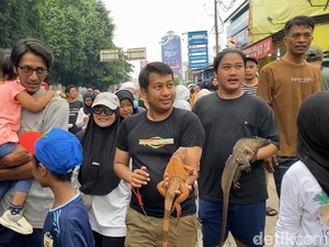 Warga Bawa Hewan Peliharaan ke CFD Depok: Olahraga Sambil Jemur Iguana