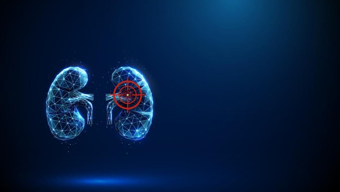 Blue human kidneys with a target sign. Kidney disease, inflammation, fibrosis, medical treatment, and diagnostic concept. Low poly futuristic style, abstract digital wireframe light structure. Vector.
