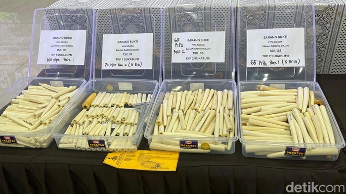 Dittipidter Bareskrim Polri menggagalkan penyelundupan gading gajah utuh hingga pipa rokok yang terbuat dari gading gajah. (Rumondang/detikcom)