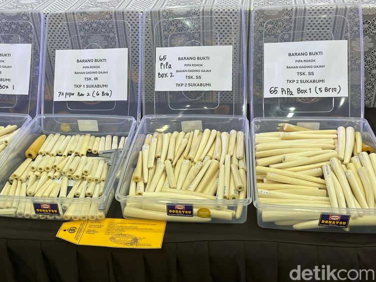 Ukiran hingga Pipa Rokok dari Gading Gajah Rp 24 M Disita Bareskrim
