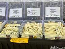 Ukiran hingga Pipa Rokok dari Gading Gajah Rp 24 M Disita Bareskrim