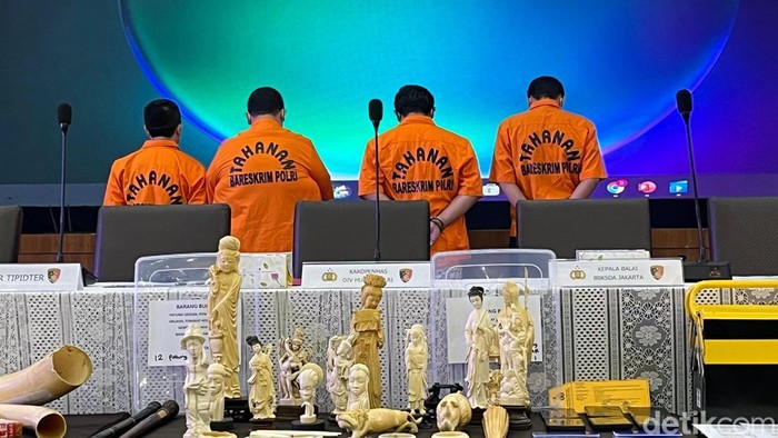 Dittipidter Bareskrim Polri menggagalkan penyelundupan gading gajah utuh hingga pipa rokok yang terbuat dari gading gajah. (Rumondang/detikcom)