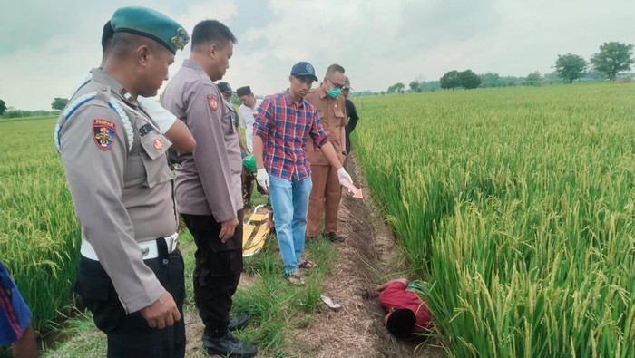 Jenazah petani di Gresik tewas tersetrum jebakan tikus di sawah milik kepala dusun.