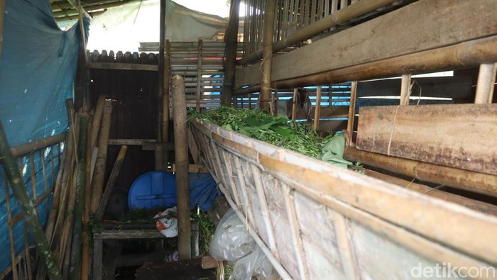 Lokasi kandang kambing tindak pidana pencurian di Desa Kemutug Kidul, Kecamatan Baturraden, Kabupaten Banyumas, Senin (26/5/2025).