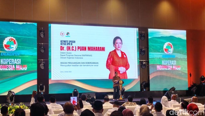 Ketua DPR Puan Maharani. (Kurniawan/detikcom)