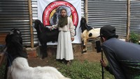 Berbagai jenis kambing kurban ditawarkan, seperti Peranakan Etawa (PE), Senduro, dan Jawa Randu. Metode ini dinilai efektif menjangkau lebih banyak pembeli, khususnya dari luar daerah, yang ingin memastikan kualitas hewan kurban secara praktis dan cepat.