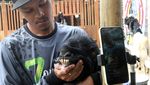Nggak Biasa! Penjual Kambing Kurban Gaet Pembeli Lewat Live Streaming