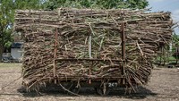 Pesan itu menyiratkan pesan yang memiliki makna bahwa industri gula harus tetap hidup, karena pabrik tersebut bukan sekedar entitas komersial yang berorientasi laba namun wujud kesejahteraan masyarakat dan simbol kemandirian bangsa.