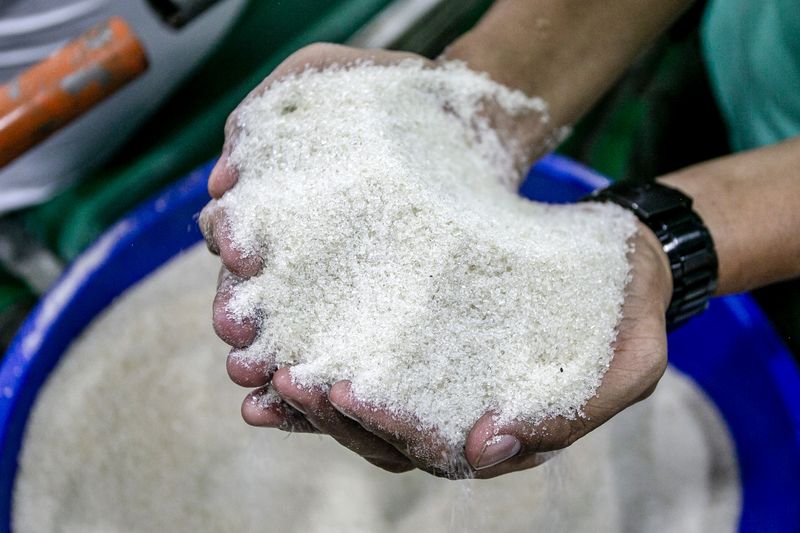 Pabrik Gula Peninggalan Belanda, Tetap Dirawat Meski Tak Bikin Kaya Karyawan membawa anaknya memasuki pabrik usai kirab temanten tebu saat tradisi Cembrengan atau menyambut musim giling tebu di Pabrik Gula (PG) Mojo, Sragen, Jawa Tengah, Sabtu (19/4/2025). ANTARA FOTO/Mohammad Ayudha.