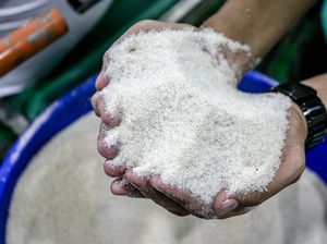 Bos ID Food Buka-bukaan Kualitas Gula Produksi BUMN: Nggak Bagus!