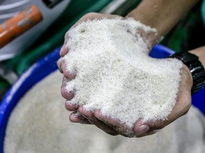 Bos ID Food Buka-bukaan Kualitas Gula Produksi BUMN: Nggak Bagus!