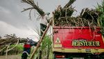 Pabrik Gula Peninggalan Belanda, Tetap Dirawat Meski Tak Bikin Kaya