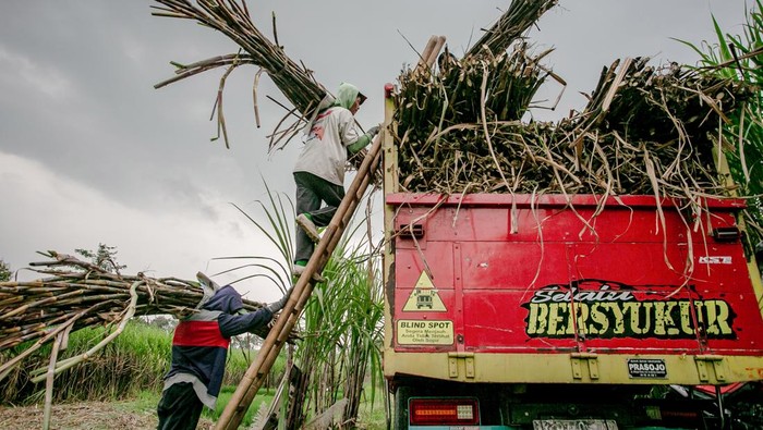 Karyawan membawa anaknya memasuki pabrik usai kirab temanten tebu saat tradisi Cembrengan atau menyambut musim giling tebu di Pabrik Gula (PG) Mojo, Sragen, Jawa Tengah, Sabtu (19/4/2025). ANTARA FOTO/Mohammad Ayudha.