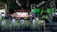 Pada musim giling 2025 PG Mojo menargetkan mampu merealisasikan giling 300.000 ton tebu angka itu lebih tinggi dari yang ditarget sebesar 277.000 ton tebu dengan realisasi produksi gula sekitar 21.000 ton. Optimisme ini bukan tanpa alasan mengingat realisasi produksi PG. Mojo dari beberapa tahun terakhir ini mengalami peningkatan pada tahun 2023 mereka menggiling 180.000 ton tebu dengan realisasi produksi 12.000 ton gula, kemudian pada tahun 2024 realisasi itu naik signifikan menjadi 265.000 ton dengan produksi gula sebesar 17.500 ton. 