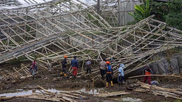 Petugas kepolisian mengerahkan anjing pelacak untuk mencari korban bencana tanah longsor di Cikahuripan, Lembang, Kabupaten Bandung Barat, Jawa Barat, Senin (26/5/2025). Hingga hari keempat pencarian pukul 13.00 WIB, tim SAR gabungan masih berupaya untuk mencari seorang warga yang dinyatakan hilang dalam bencana tersebut namun pencarian terkendala faktor cuaca dan kontur tanah yang labil. ANTARA FOTO/Abdan Syakura/foc.