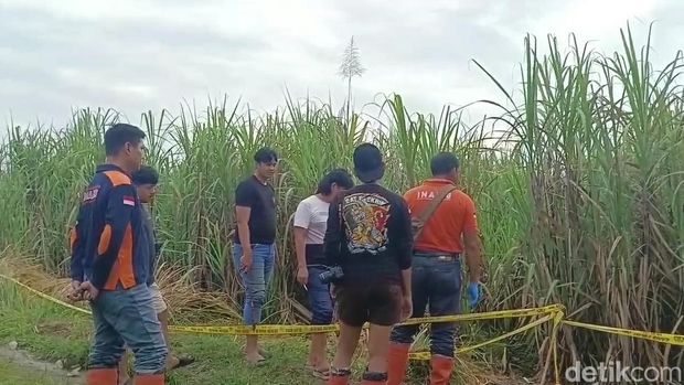 Polisi saat melakukan olah TKP penemuan mayat seorang wanita di kebun tebu, Brebes, Minggu (25/5/2025).